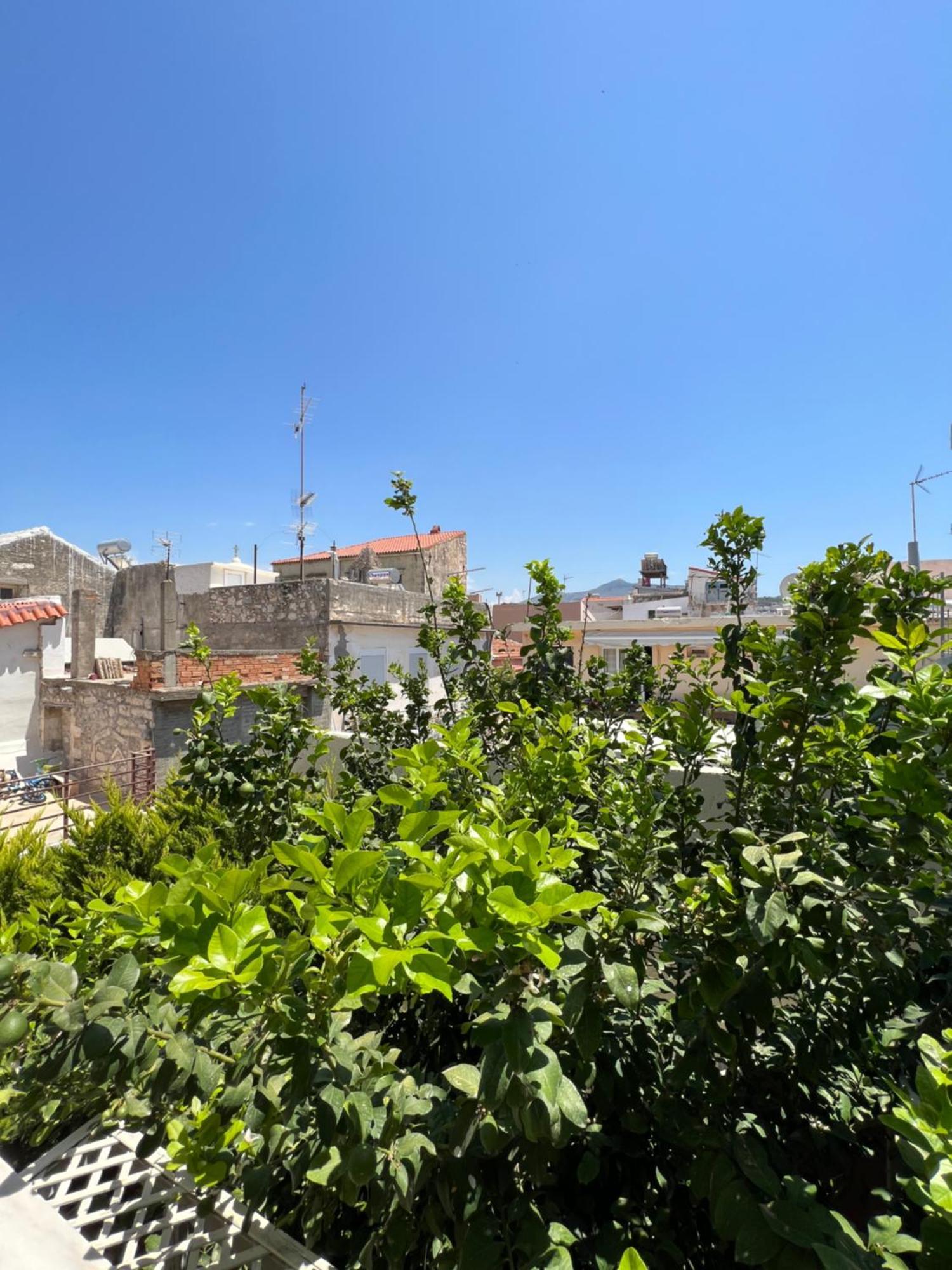 Irina * Rethymno (Crete)